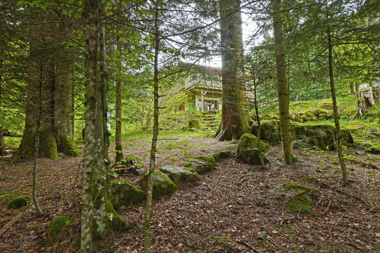 Apartment Le Schwarzwald - A Proximite Des Stations De *